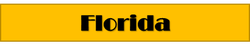 Car Shipping Florida